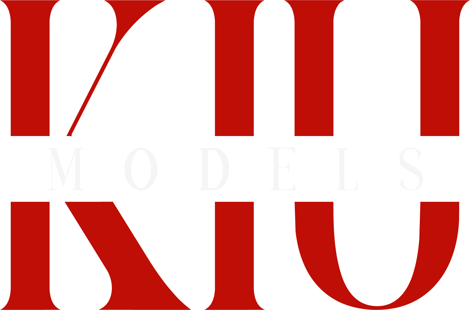 logo bjxmoda